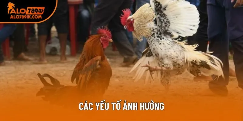 Các yếu tố ảnh hưởng