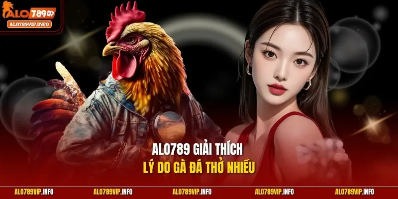 ALO789 giải thích lý do gà đá thở nhiều