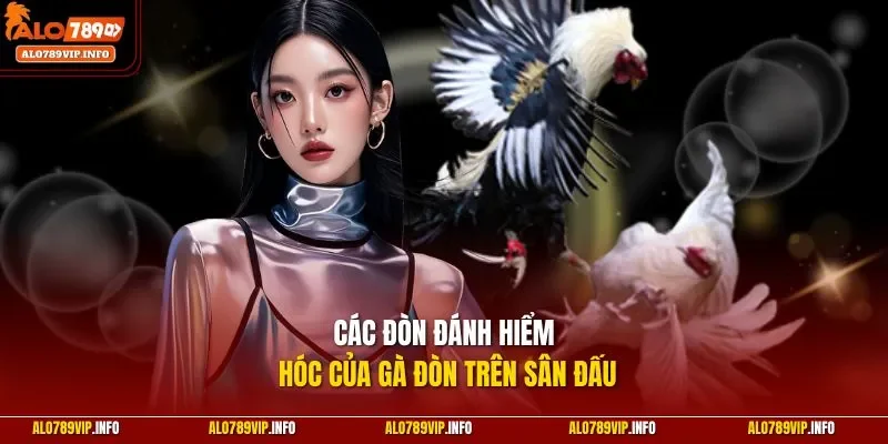 Các đòn đánh hiểm hóc của gà đòn trên sân đấu