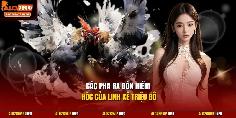 Các pha ra đòn hiểm hóc của linh kê triệu đô