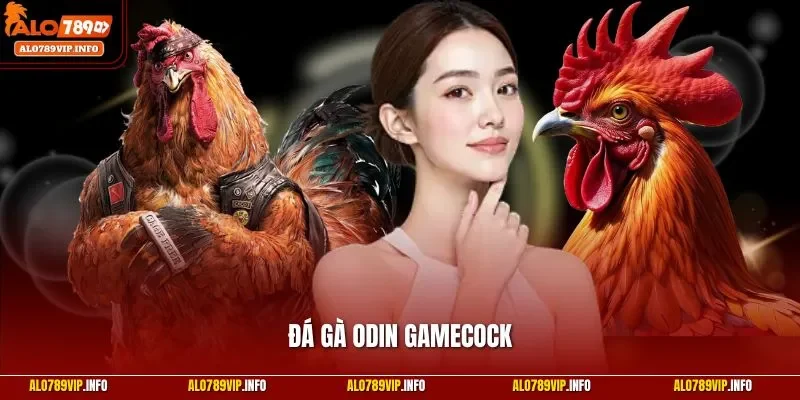 Đá gà Odin Gamecock