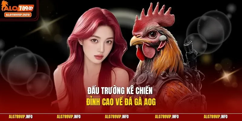 Đấu trường kê chiến đỉnh cao về đá gà AOG