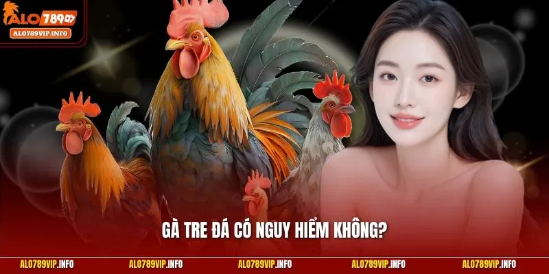 Gà tre đá có nguy hiểm không