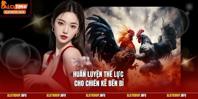 Huấn luyện thể lực cho chiến kê bền bỉ