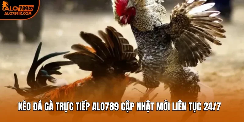 Kèo Đá Gà Trực Tiếp