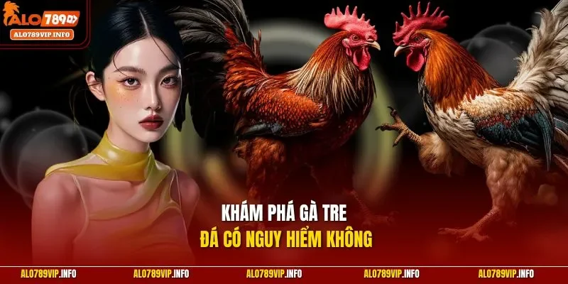 Khám phá gà tre đá có nguy hiểm không 