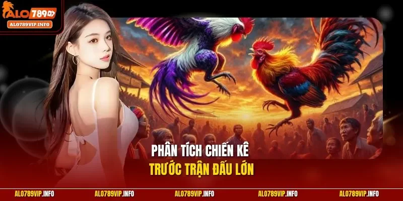 Phân tích chiến kê trước trận đấu lớn