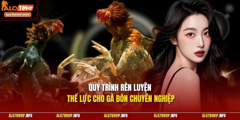 Quy trình rèn luyện thể lực cho gà đòn chuyên nghiệp
