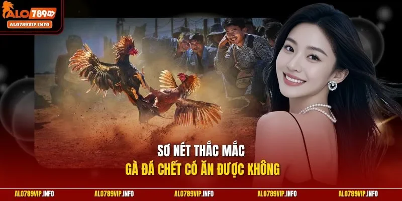 Sơ nét thắc mắc gà đá chết có ăn được không