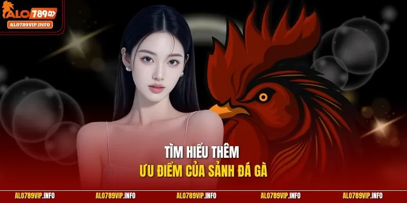 Tìm hiểu thêm ưu điểm của sảnh đá gà