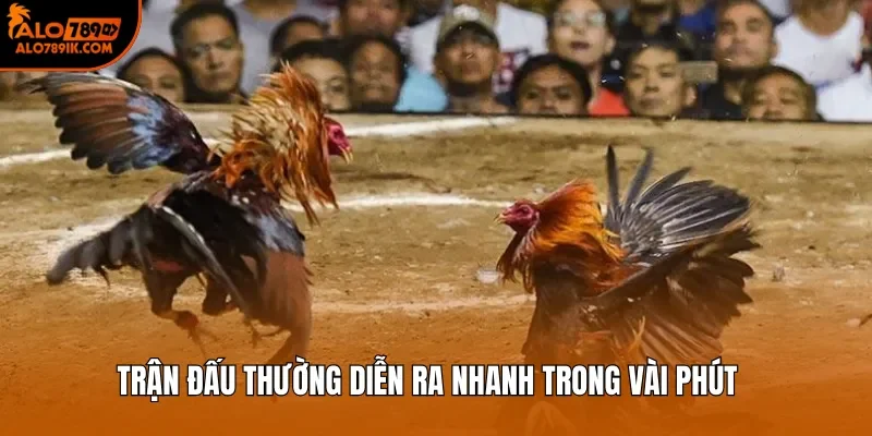 Trận đấu thường diễn ra nhanh trong vài phút