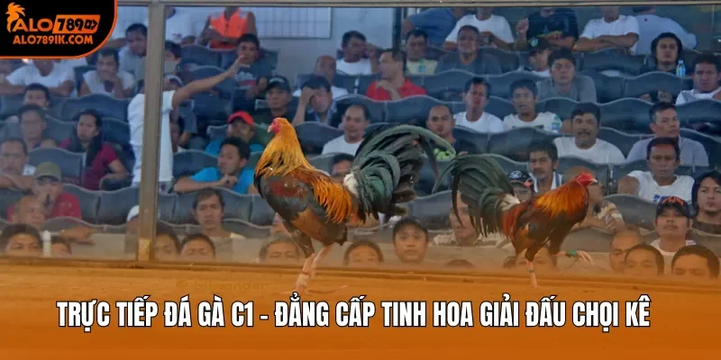 Trực Tiếp Đá Gà C1