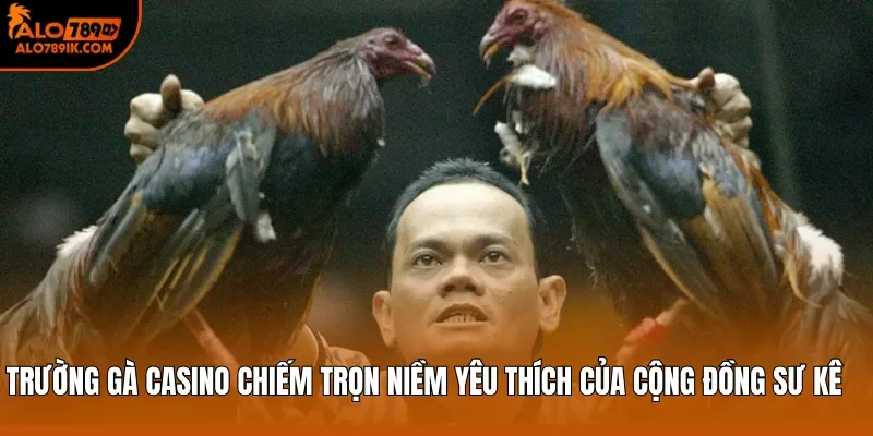 Trường gà casino chiếm trọn niềm yêu thích của cộng đồng sư kê
